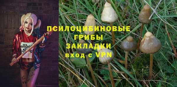 ПСИЛОЦИБИНОВЫЕ ГРИБЫ Бородино