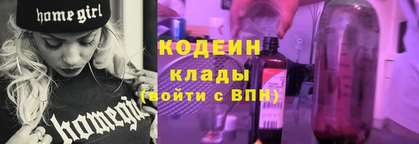 ПСИЛОЦИБИНОВЫЕ ГРИБЫ Бородино