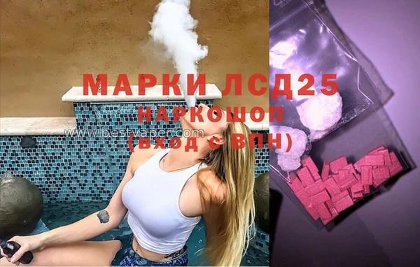 ПСИЛОЦИБИНОВЫЕ ГРИБЫ Бородино