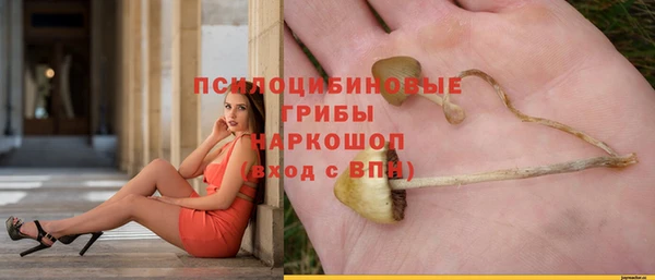 ПСИЛОЦИБИНОВЫЕ ГРИБЫ Бородино
