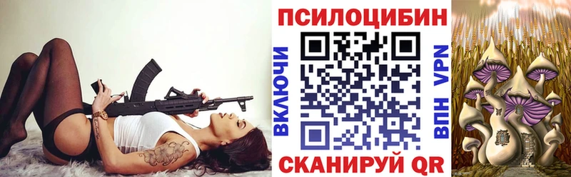 где купить наркотик  ссылка на мегу ссылка  Псилоцибиновые грибы мицелий  Полтавская 